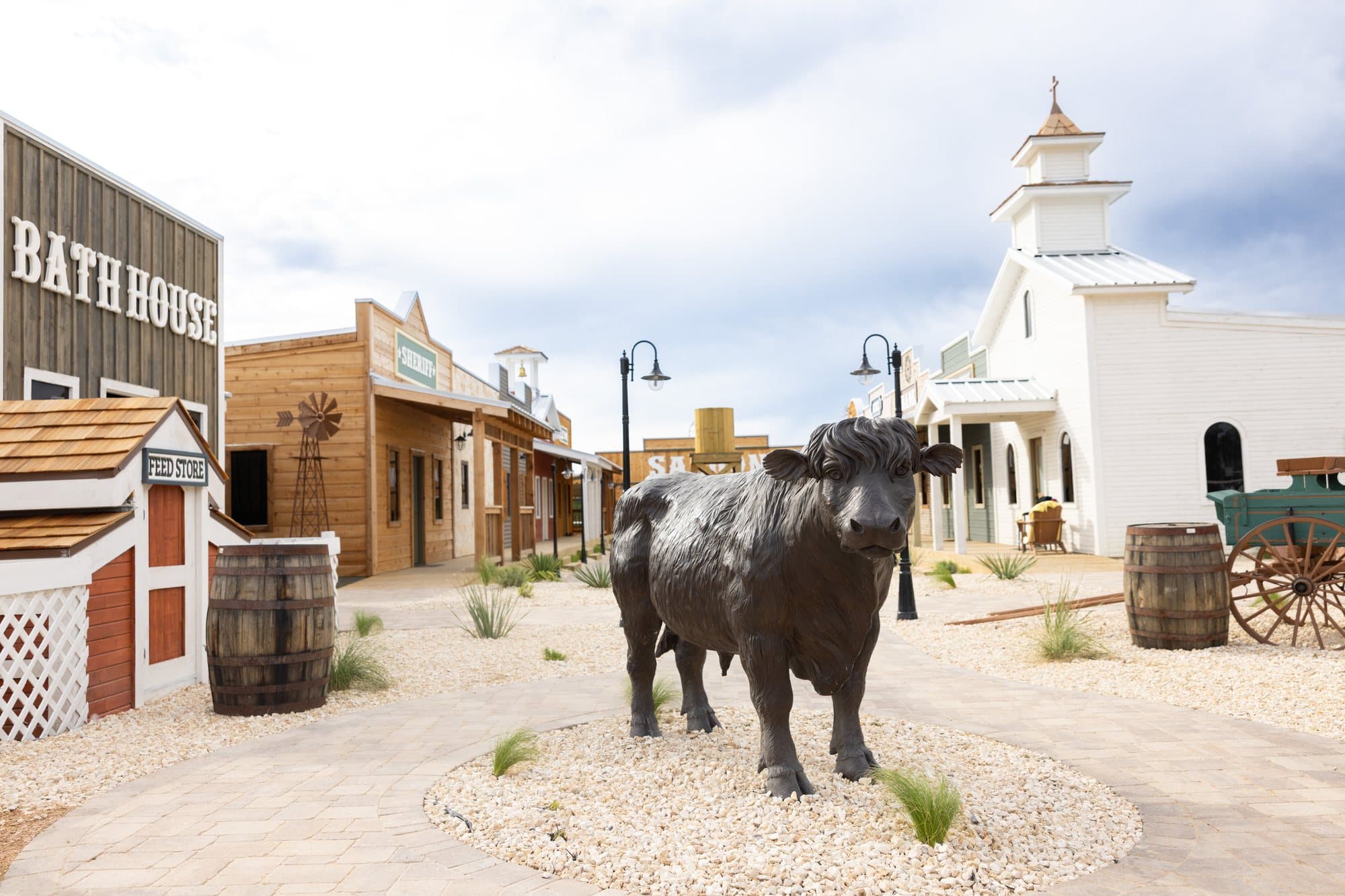 Longhorn at Milk & Honey Ranch