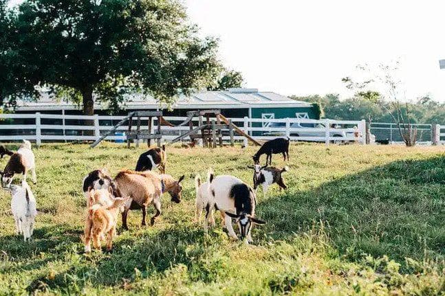 Entire Ranch