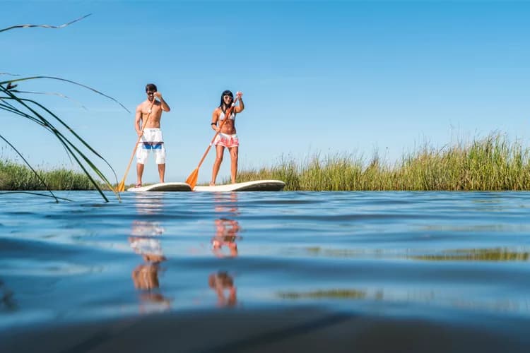 Paddle board