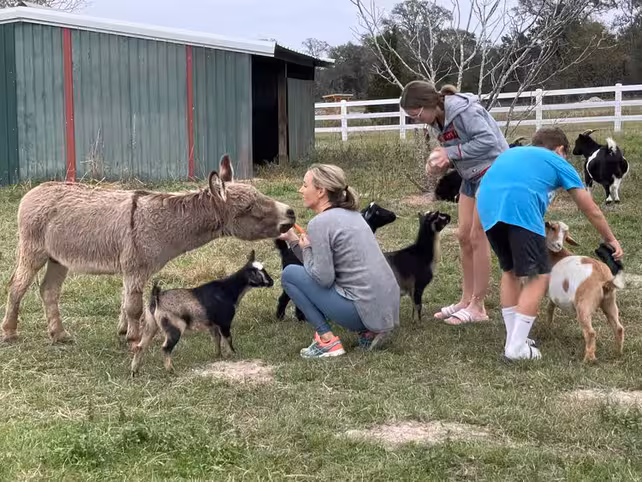 The Full Story of Milk & Honey Ranch (so far!)