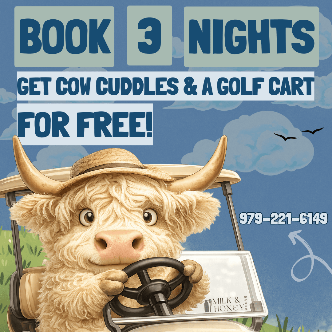 Book 3 nights, get free cow cuddles and a golf cart at Milk & Honey Ranch