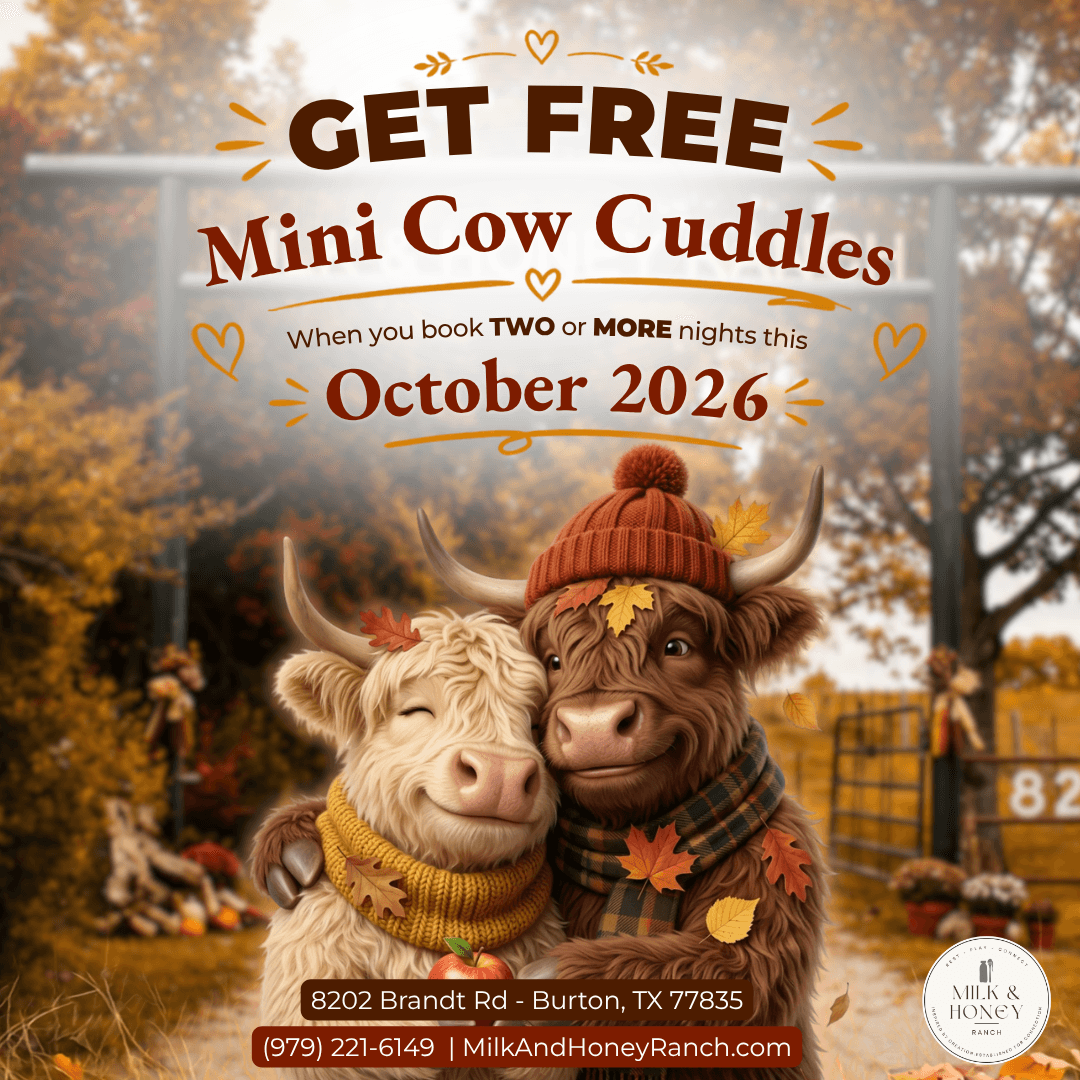 Free Mini Cow Cuddles when you book two or more nights in October 2026 at Milk & Honey Ranch