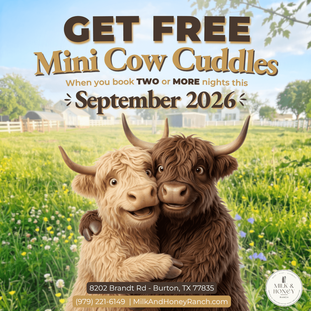 Free Mini Cow Cuddles when you book two or more nights in September 2026 at Milk & Honey Ranch
